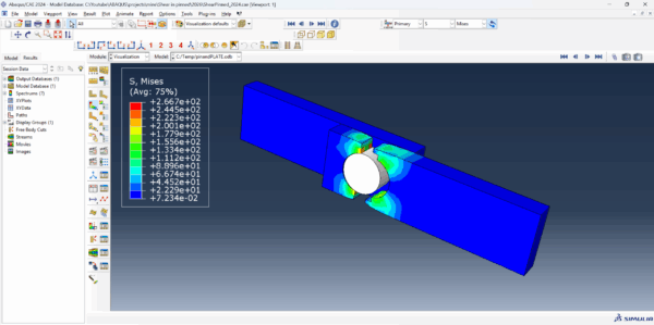 Shear Simulation in Pinned Connections (Abaqus Files)